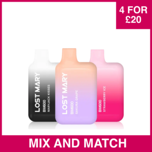 lost Mary 4 for £20